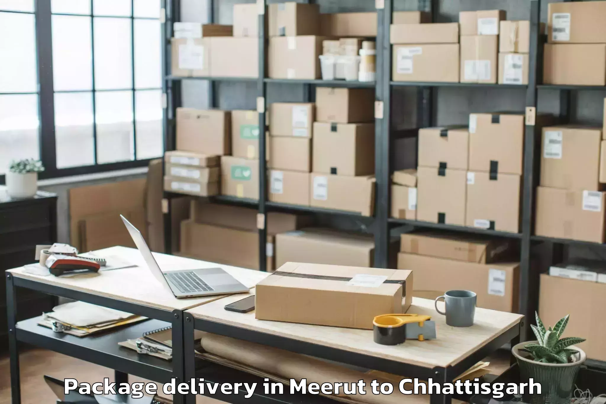 Quality Meerut to Basna Package Delivery